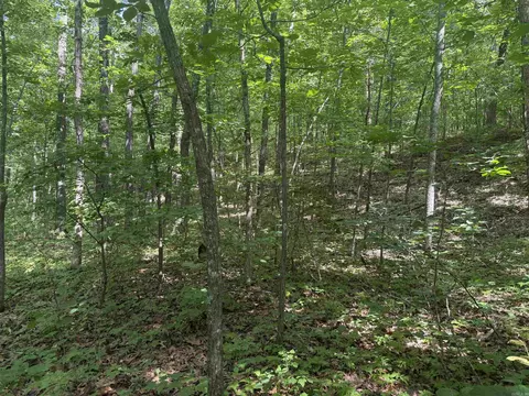 00 Peyton Mountain Rd, Dennard, AR 72629 photo 22