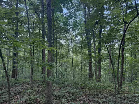 00 Peyton Mountain Rd, Dennard, AR 72629 photo 15