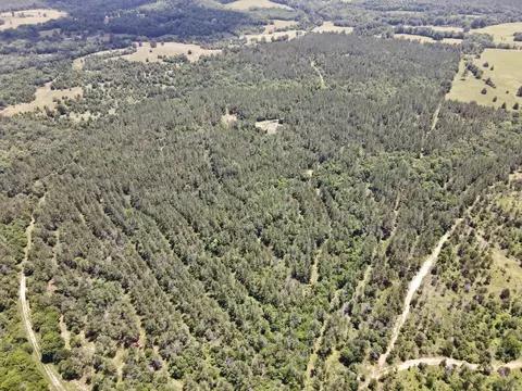000 Fleetwood Rd, Lonsdale, AR 72087