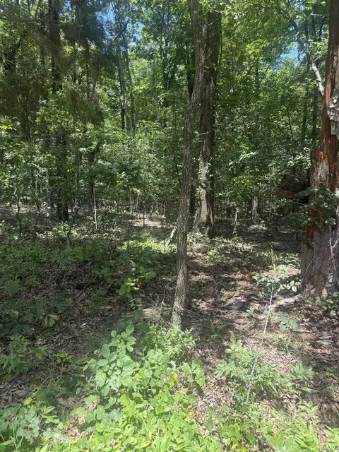 Greene 715, Paragould, AR 72450