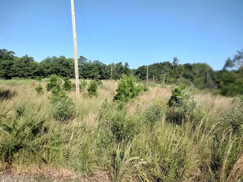 1700 Sutterfield Rd, Fox, AR 72051 photo 2