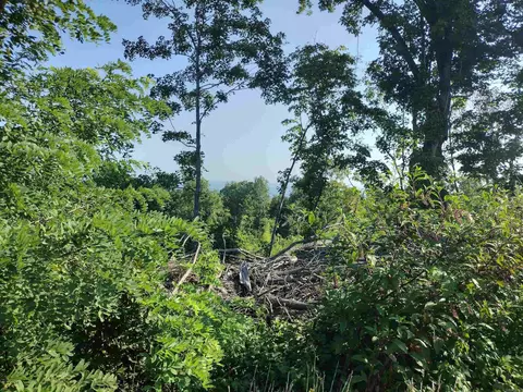 1700 Sutterfield Rd, Fox, AR 72051 photo 6