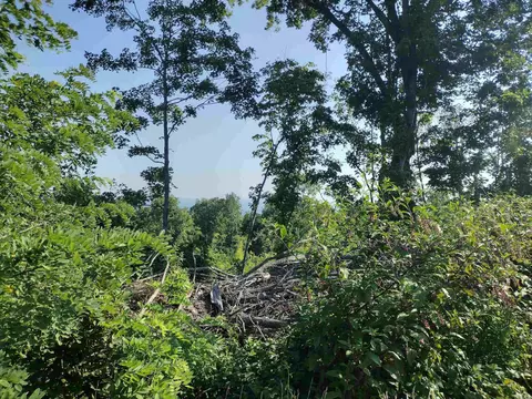 1700 Sutterfield Rd, Fox, AR 72051 photo 5