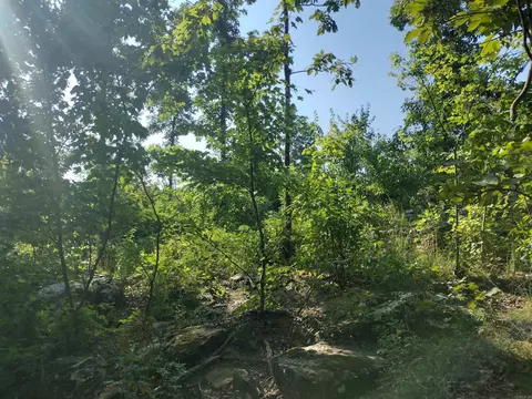 0000 Sutterfield, Fox, AR 72051 photo 4