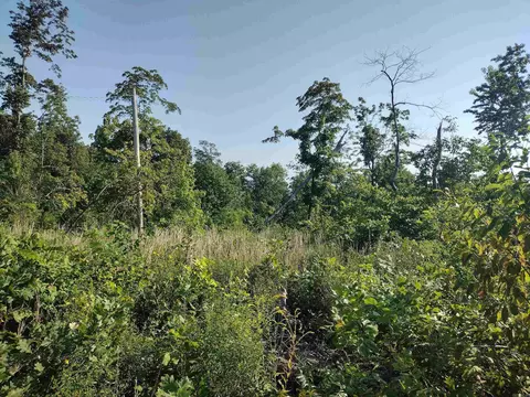 0000 Sutterfield, Fox, AR 72051 photo 2