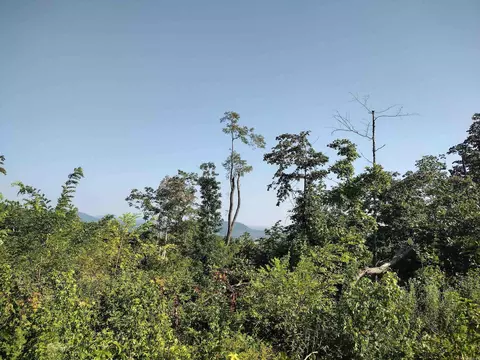 000 Sutterfield Rd, Fox, AR 72051 photo 5