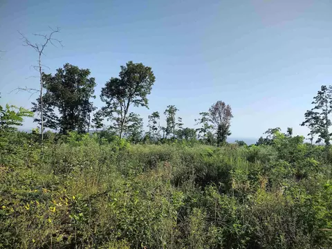 000 Sutterfield Rd, Fox, AR 72051 photo 2