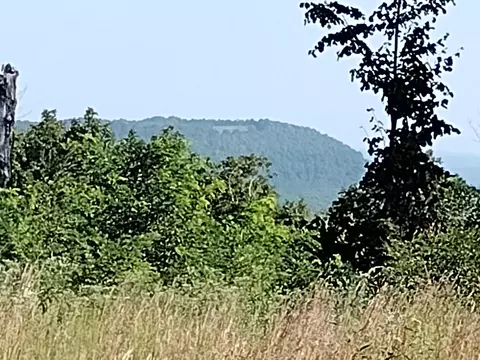 000 Sutterfield Rd, Fox, AR 72051
