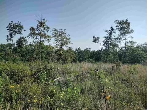 0 Sutterfield Rd, Fox, AR 72051 photo 4