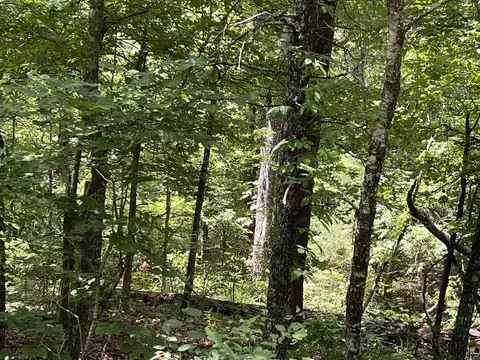 000 Pr Off Ridge Hvn, Mammoth Spring, AR 72554