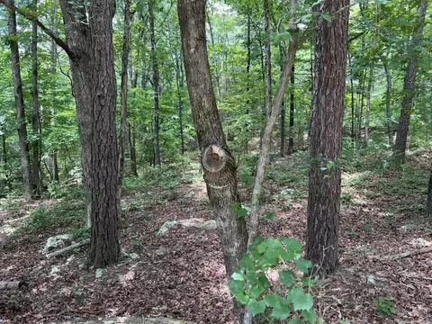 00 Rock Hill Rd, Fairfield Bay, AR 72088