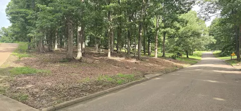 Kerry Dr, Wynne, AR 72396