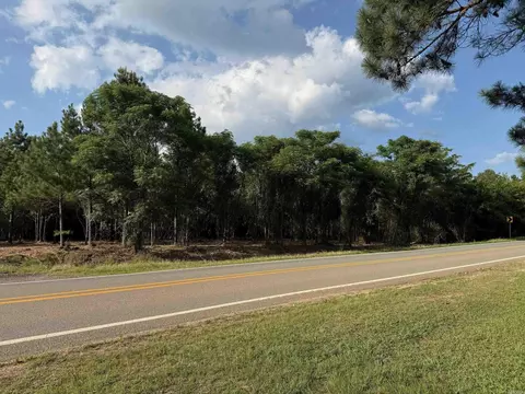 00 Toledo Rd, Rison, AR 71665 photo 5