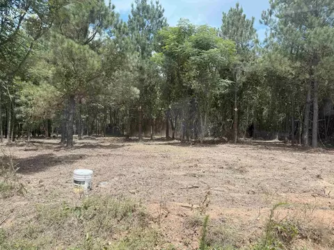 00 Toledo Rd, Rison, AR 71665