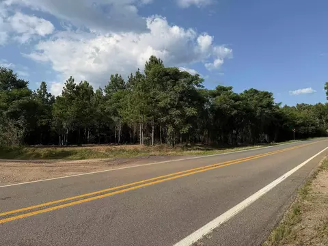 00 Toledo Rd, Rison, AR 71665 photo 4