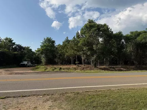 00 Toledo Rd, Rison, AR 71665 photo 2