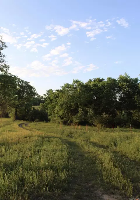 299 Harmony Ln, Amity, AR 71921