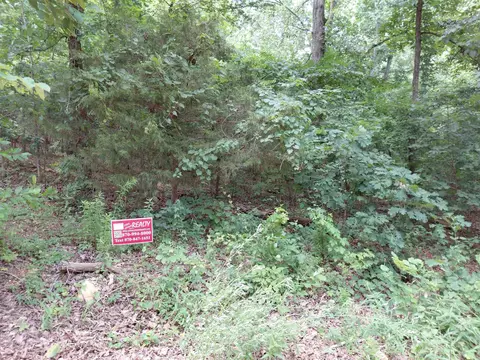 W Lakeshore Drive, Highland, AR 72542