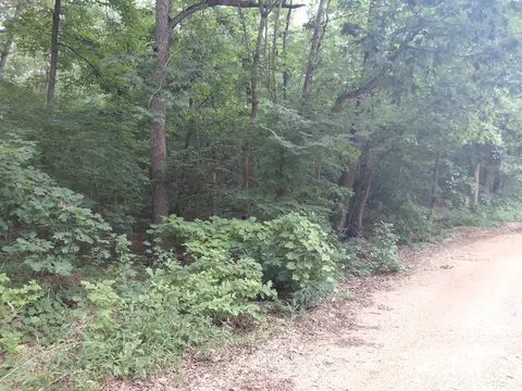 W Lakeshore Drive, Highland, AR 72542