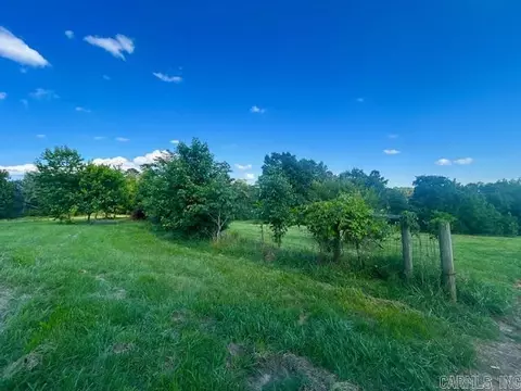 173 Mcelroy Rd, Fox, AR 72051 photo 16