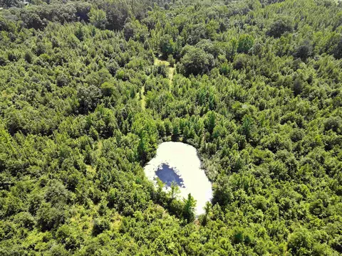 000 92 Hwy, Springfield, AR 72157 photo 6