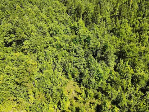 000 92 Hwy, Springfield, AR 72157 photo 32
