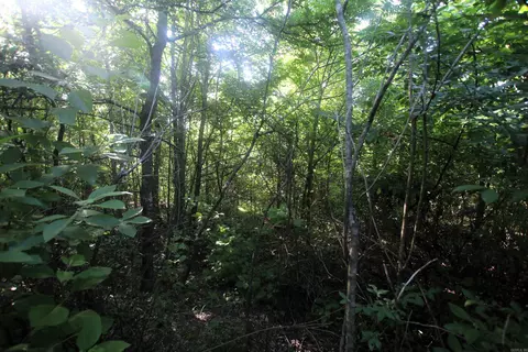 000 92 Hwy, Springfield, AR 72157 photo 36