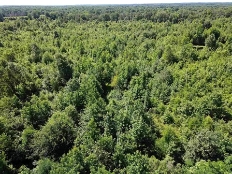 000 92 Hwy, Springfield, AR 72157 photo 16