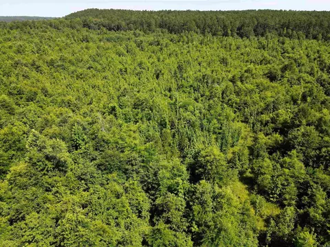 000 92 Hwy, Springfield, AR 72157 photo 26