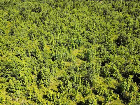 000 92 Hwy, Springfield, AR 72157 photo 30
