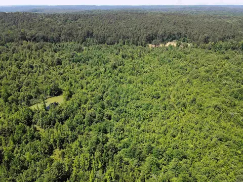 000 92 Hwy, Springfield, AR 72157 photo 2