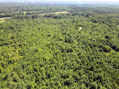 000 92 Hwy, Springfield, AR 72157 photo 3