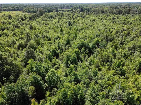 000 92 Hwy, Springfield, AR 72157 photo 18