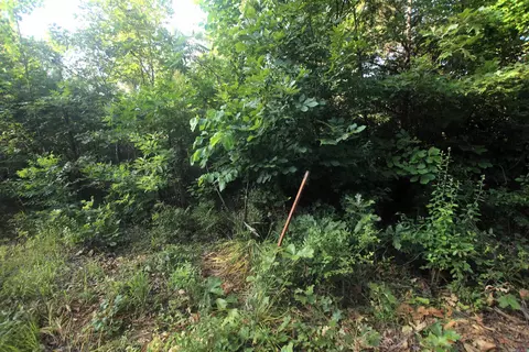 000 92 Hwy, Springfield, AR 72157 photo 34