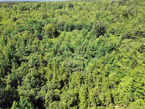 000 92 Hwy, Springfield, AR 72157 photo 14