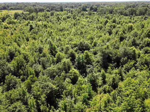 000 92 Hwy, Springfield, AR 72157 photo 20