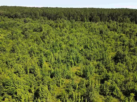 000 92 Hwy, Springfield, AR 72157 photo 31