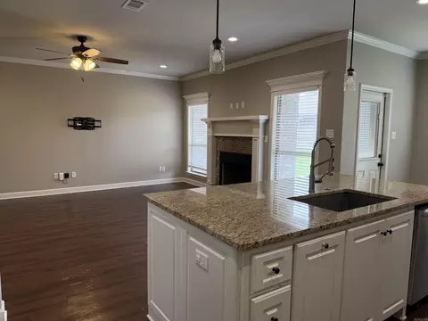 Living - 810 Mango Loop Loop, Austin, AR 72007 photo 4 of 11
