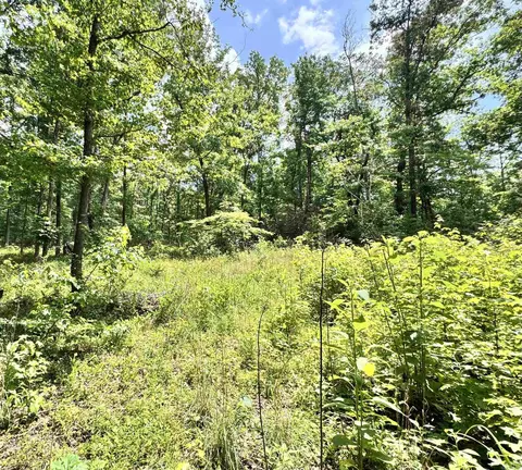00 Meadow Creek Rd, Clinton, AR 72031