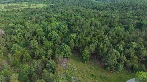 32 Kerley Point Rd # A, Elizabeth, AR 72531