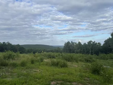 2095 Dry Mountain Rd, Drasco, AR 72530