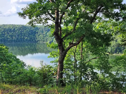 lot23 Sylvia Finch Misty Mtn, Searcy, AR 72143