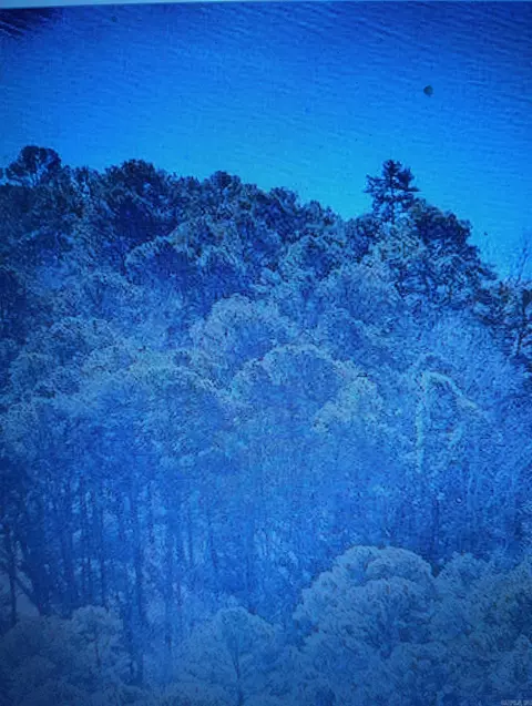 224 Lakeside Dr, Fairfield Bay, AR 72088