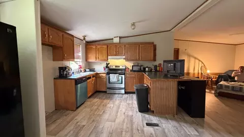 51 Tuff St, Ash Flat, AR 72513 photo 5