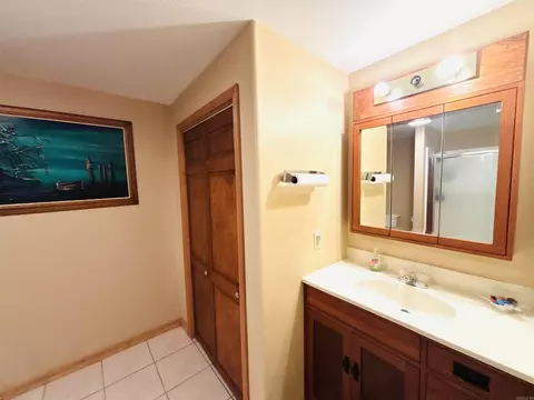 Bath - 252 Mitchell Rd, Mountain View, AR 72560 photo 4 of 5