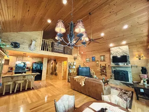 Living - 252 Mitchell Rd, Mountain View, AR 72560 photo 4 of 9