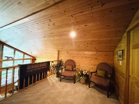 Other - 252 Mitchell Rd, Mountain View, AR 72560 photo 6 of 13