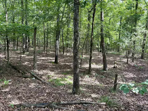 000 Luker Ln, Mayflower, AR 72106 photo 12