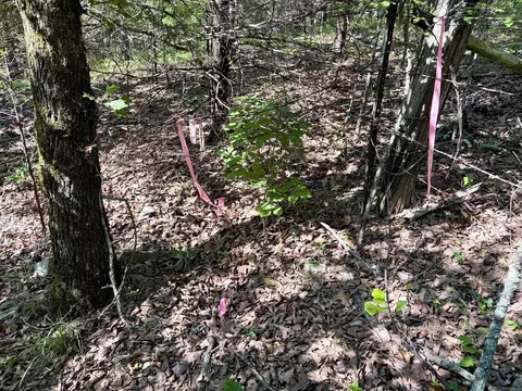 000 Luker Ln, Mayflower, AR 72106 photo 23