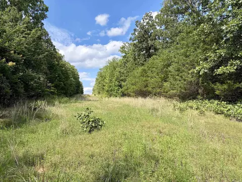 000 Luker Ln, Mayflower, AR 72106 photo 21